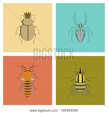 assembly of flat Illustrations egypt bug scarab Araneus bee fly