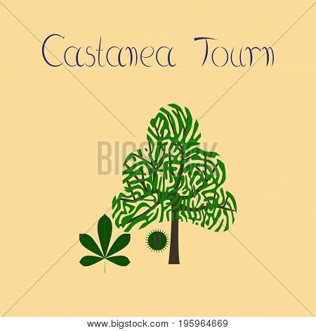 flat illustration on stylish background tree Castanea