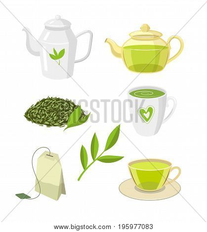 Vector tea ceremony set flat isolated illustration on a white background. Cartoon cap of green tea on the saucer, herbal tea bag transparent teapot, kettle leaf tea. Healthy lifestyle concept