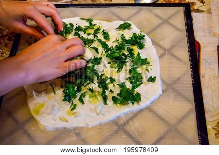 Young woman's hands making bread in dehydrator with parsley white coconut meat batter and onion