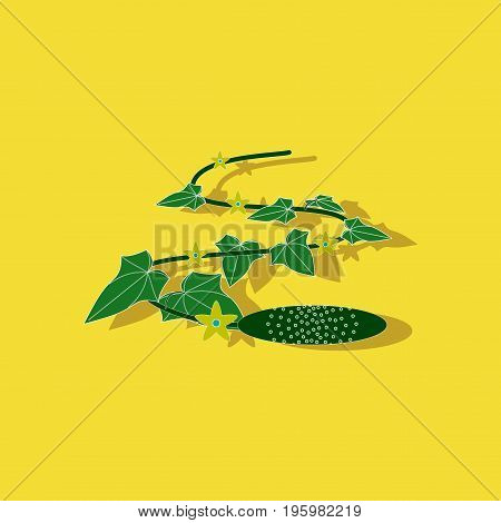 paper sticker on stylish background of plant Cucumis