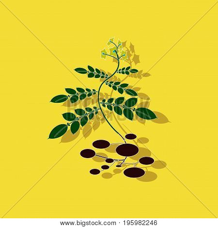 paper sticker on stylish background of plant Solanum
