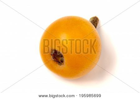 Ripe loquat or Eriobotrya japonica isolated on white background.