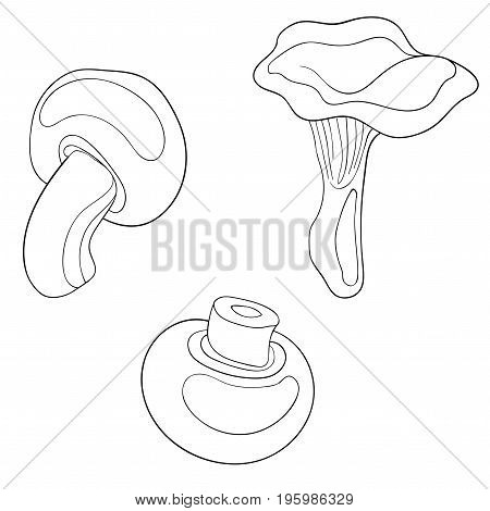 Vector set of mushrooms. Collection of stylized edible mushrooms. Black and white drawing by hand. Linear Art.