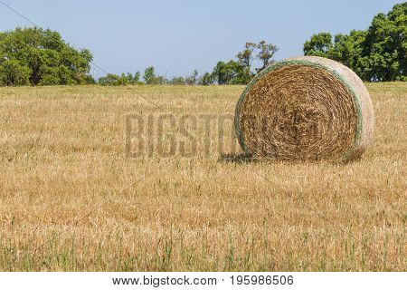 Hay Pile In A Farm Field In Porto Covo