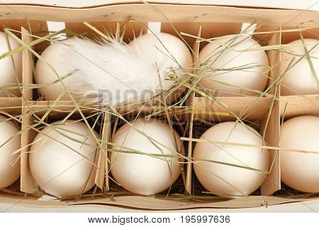 White Chicken Eggs In Wooden Container Close Up