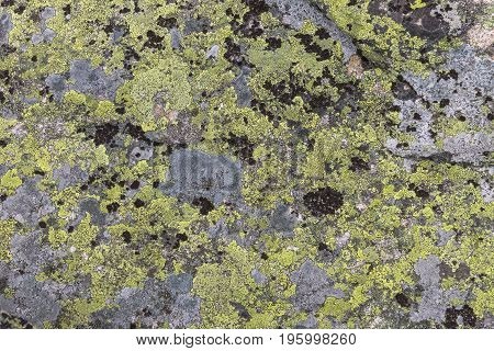 Texture, background of stones in the mountains, with moss