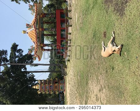 Ko Chang, Thailand - April 10, 2018: Chinese Buddist Temple Chao Por Koh Chang Shrine On The Asian I