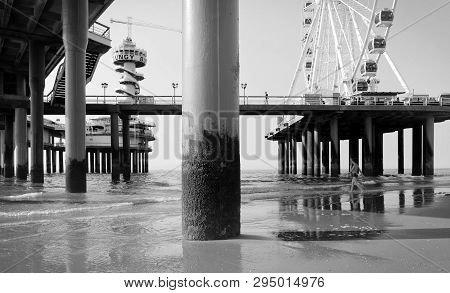 Low Angle View On Poles Of A Pier In The Sea