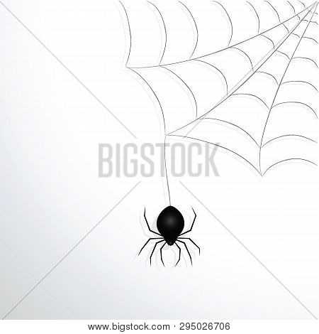 Black Spider With Cobwebs On A White Background. Vector Illustration