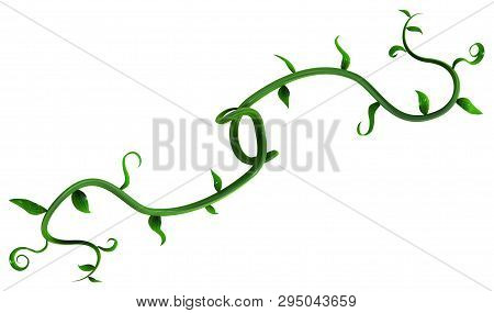 Plant Vines Green Growing Twisting Leaf Branch Hooks Double, 3d Illustration, Horizontal, Isolated, 