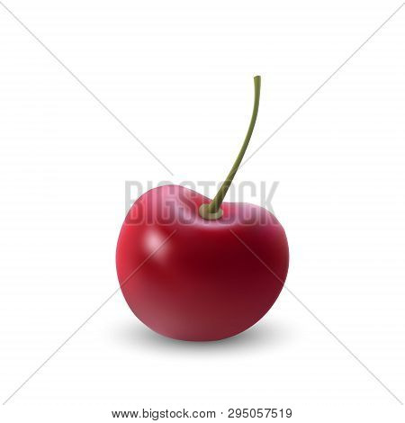Realistic Ripe Red Cherry Berriy. Vector Illustration
