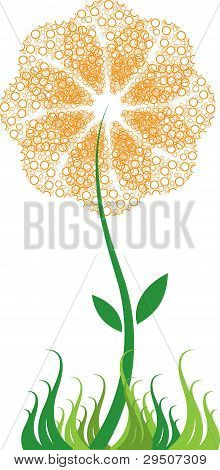 Bubble bloem