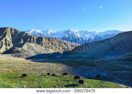 On The Road In Leh Ladakh Landscape.