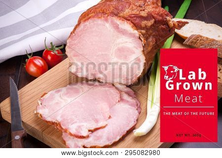 Conceptual Photo Of Artificial Lab Grown Meat, Cultured Meat,