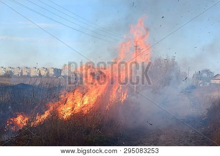 Ignition Of Dry Grass And Reeds Near Residential Buildings.