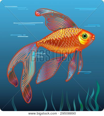 Pesce d'oro