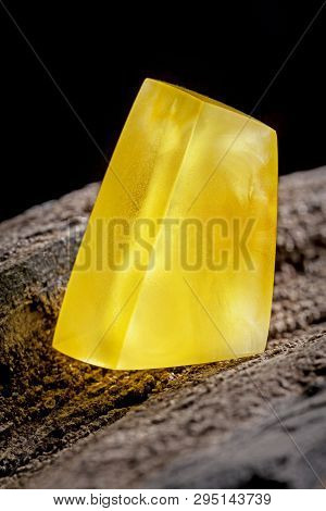 Natural Amber. A Piece Of Yellow Opaque Natural Amber On Large Piece Of Dark Stoned Wood.
