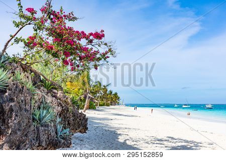 Kendwa beach in  Unguja aka Zanzibar Island Tanzania East Africa