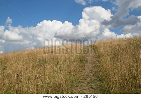 Prateria