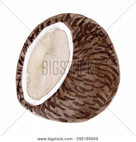 Watercolor Coconut Fruit. Hand Drawn Summer Illustration. Design For Fabric, Packaging, Textile, Cov