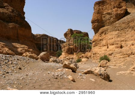 Vale do deserto
