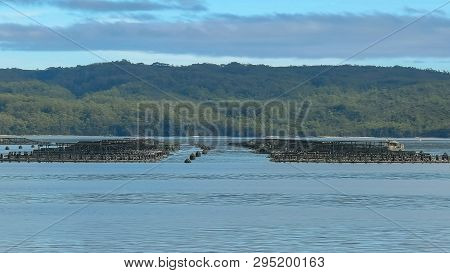 Atlantic Salmon Pens In Macquarie Harbour, Tasmania