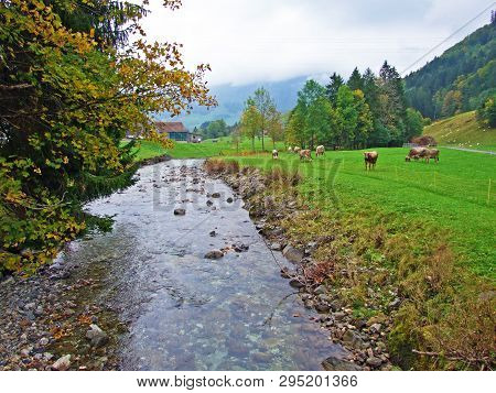 The Wiss Thur Stream In The Stein Settlement And The Obertoggenburg Region - Canton Of St. Gallen, S