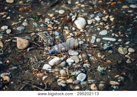 Environmental Pollution Plastic Bottle With Blue Lid Brown Liquid Inside On The Beach Among Stones A