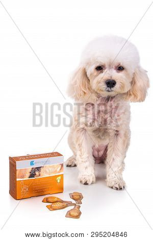 Kuala Lumpur, Malaysia, April 14, 2019: Essential 6 Spot-on Dermo-cosmetic Product For Dogs Provides