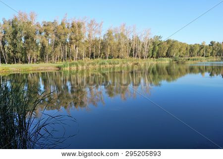 Autumn In Siberian Forest, Omsk Region, Russia