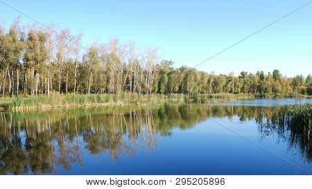 Autumn In Siberian Forest, Omsk Region, Russia