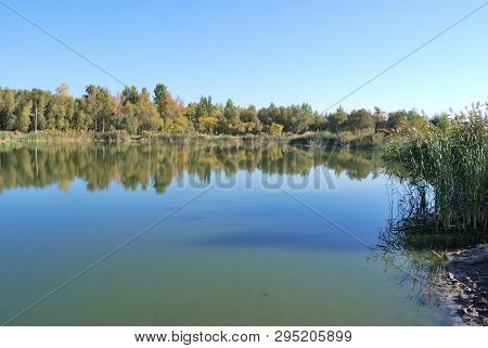 Autumn In Siberian Forest, Omsk Region, Russia
