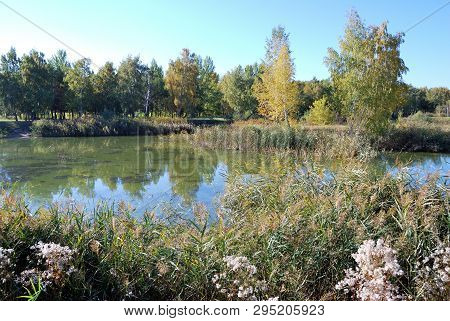 Autumn In Siberian Forest, Omsk Region, Russia