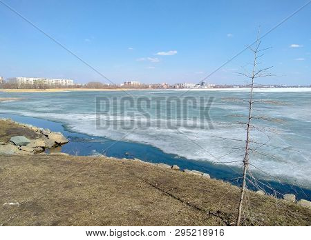 Lonely Tree On The Background Of Lake Spring Thawed Ice Stones Water