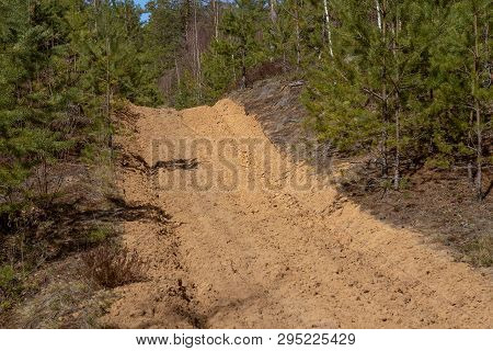 The Forest Protection Strip Passes Through The Pine Forest And Is Designed To Stop The Fire In Case 