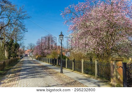 Old Cobblestoned Road With Spring Blossom In Rheda, Germany
