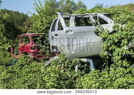 Old Crushed Cars Bodies Stored In Auto Wrecking Junk Yard For Scrap And Spare Parts