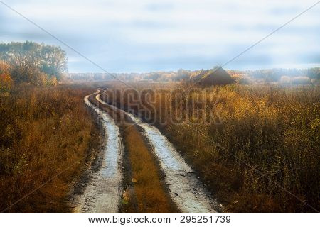 Foggy Morning Near The Village Bolshoe Boldino, Russia.