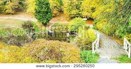 Bridge In Autumn Garden - Beautiful View