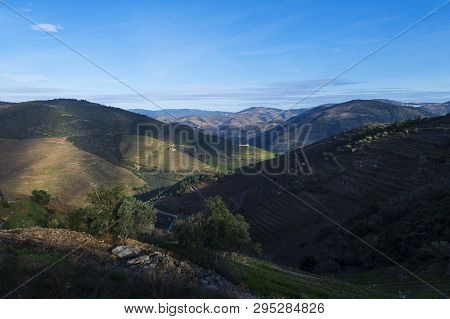 View Of The Terraced Vineyards In The Douro Valley Near The Village Of Pinhao, Portugal; Concept For