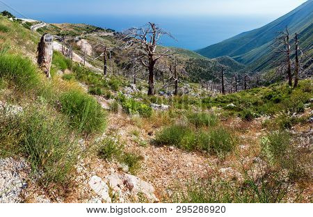 Summer Llogara Pass View With Road, Dry Trees On Slope And Sea Water Surface (albania).