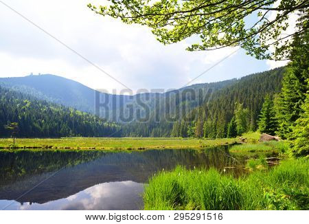 Kleiner Arbersee lake in the National park Bavarian forest,Germany. 