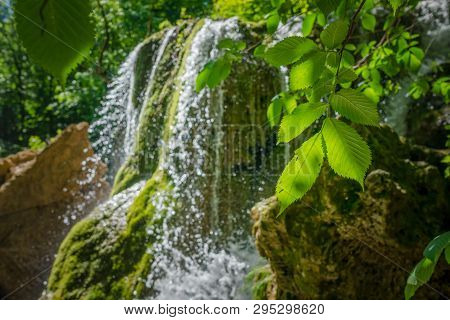 Waterfall In A Fresh Green Forest. Crimea, Silver Streams
