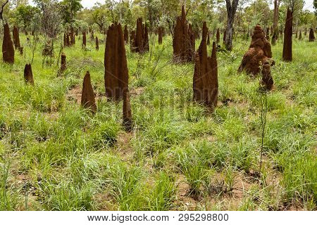 Big Tall Termite Ant Hills In Australia, Northern Territory, Australian Outback.