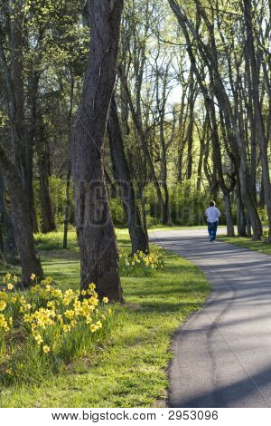 Giornata di primavera