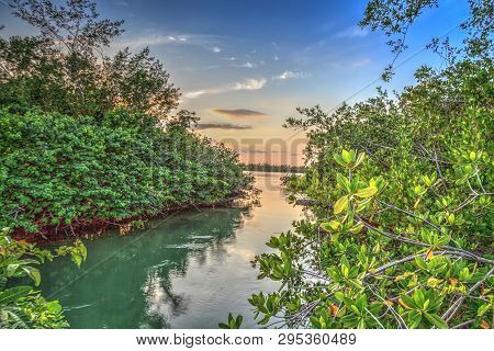 Waterway That Leads To The Ocean On Isle Of Capri Near Marco Island