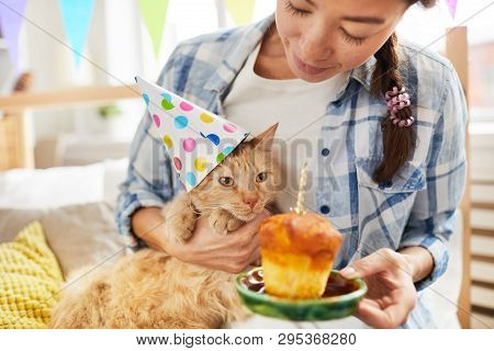 Portrait Of Asian Woman Giving Birthday  Cake To Ginger Cat Wearing Cap, Copy Space