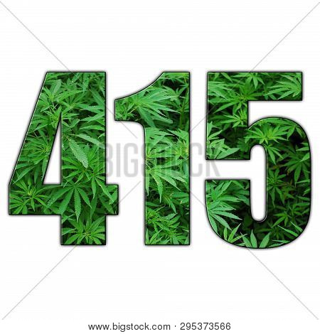 415 Bay Area Marijuana Logo With Clear Background High Quality