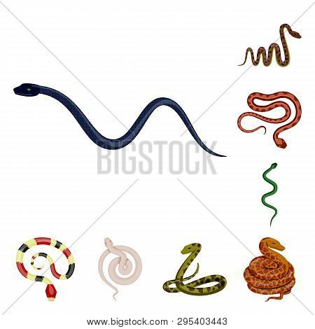 Vector Design Of Poison And Evil Logo. Collection Of Poison And Bite Stock Vector Illustration.